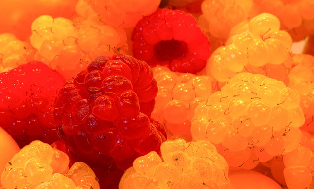 在外援引进 在外援引进