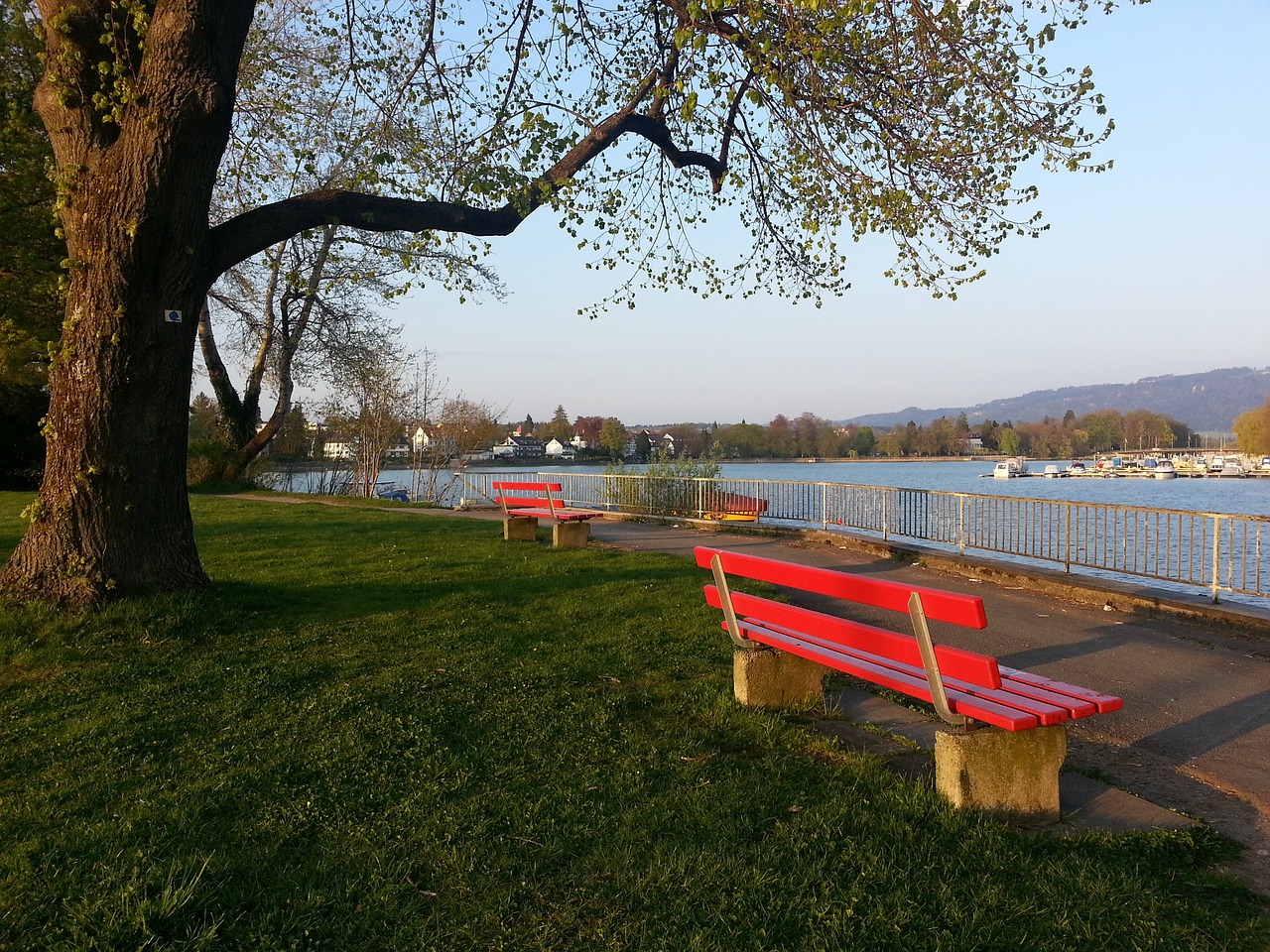 的壓迫能力 的壓迫能力