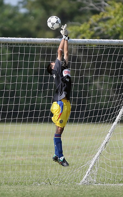 霍勒迪与怀 霍勒迪与怀