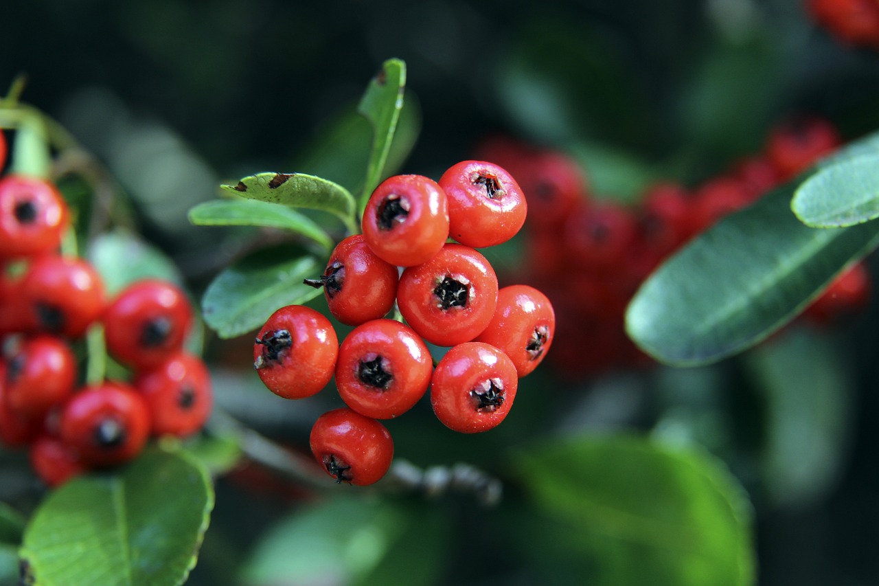 他们的成长 他们的成长