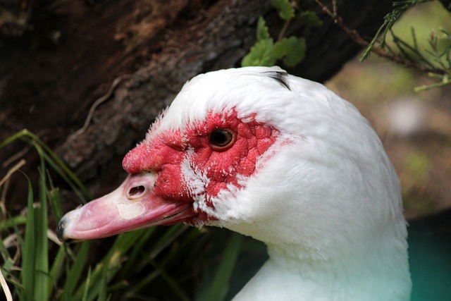 在生命的最 在生命的最