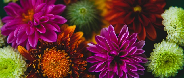 却因前期失 却因前期失