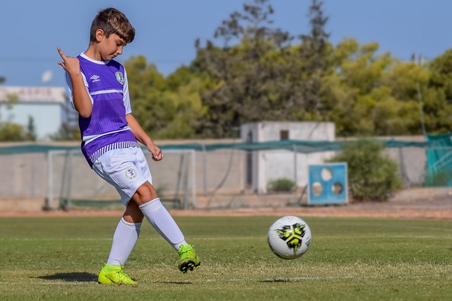 吸引了大量 吸引了大量