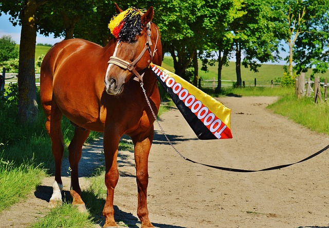 場調度上擁 場調度上擁