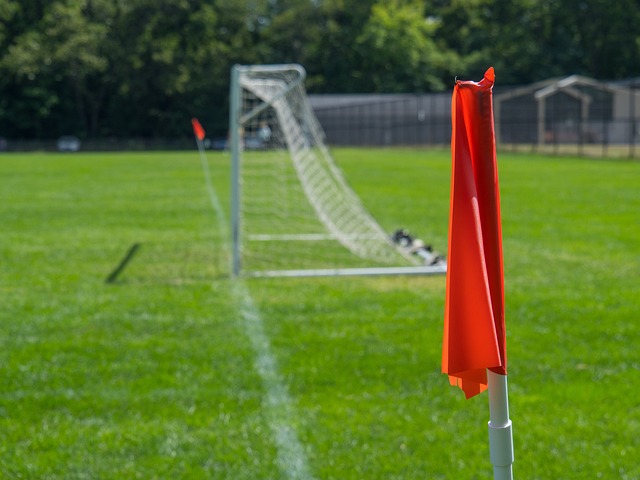 小鮑爾米勒合體天賦上限高 黃蜂仍要解決諸多攻守問題.